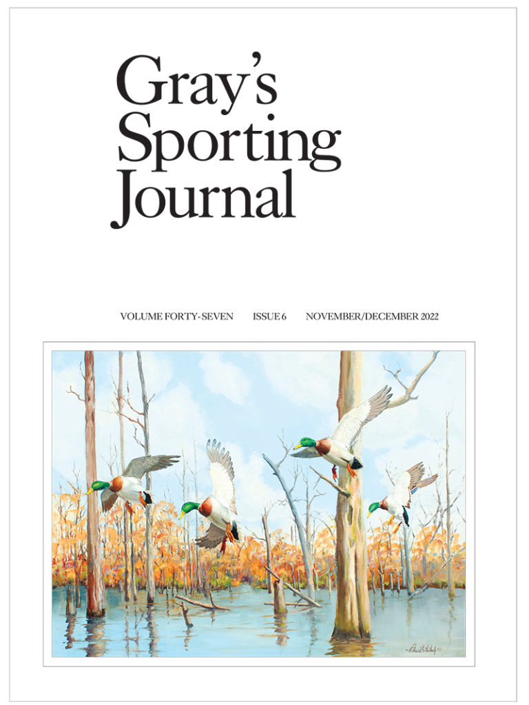 Proulx vs Joyce Stephen Bodio